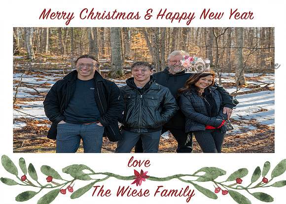 christmas card 1f