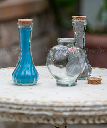 TFZ_4747