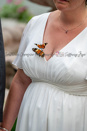 TFZ_4776
