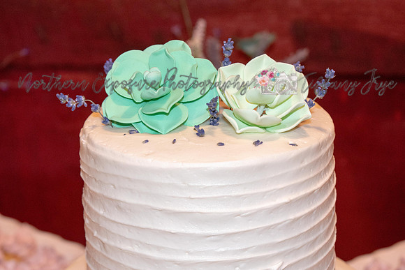 Fleet 7.14.2018 Wedding383