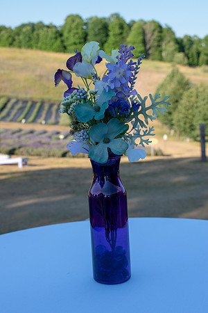 Fleet 7.14.2018 Wedding6