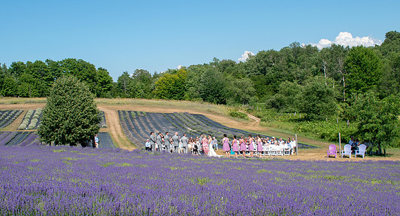 Fleet 7.14.2018 Wedding312