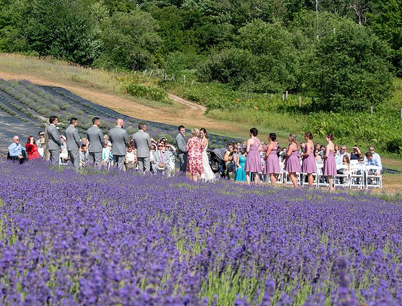 Fleet 7.14.2018 Wedding313