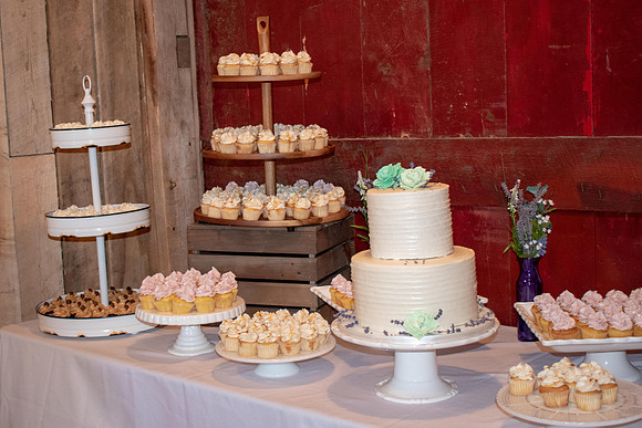 Fleet 7.14.2018 Wedding381