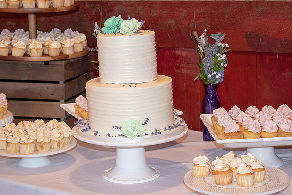Fleet 7.14.2018 Wedding382