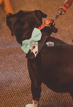 Boyne Wedding-270
