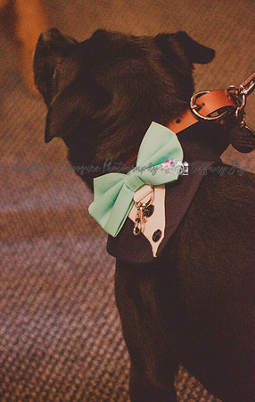 Boyne Wedding-271
