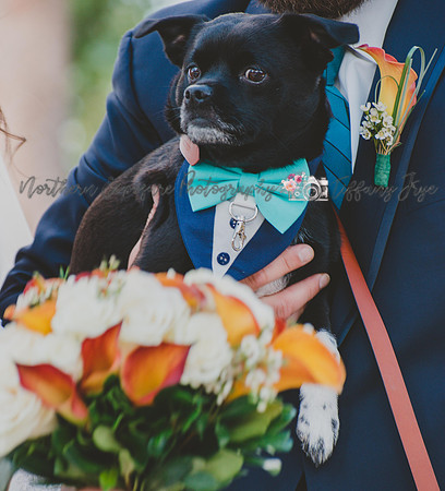 Boyne Wedding-296