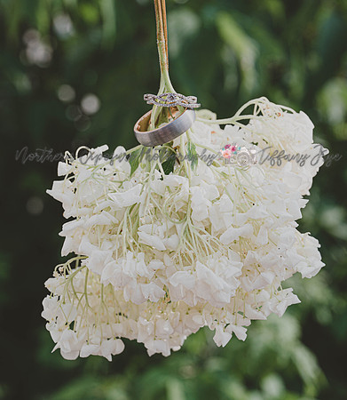Johnson Wedding-444