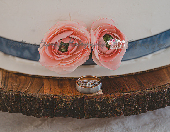 Johnson Wedding-447