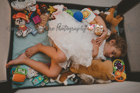 Johnson Wedding-823