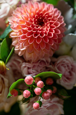 TFZ_8621