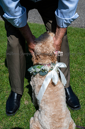 ConesWedding-170