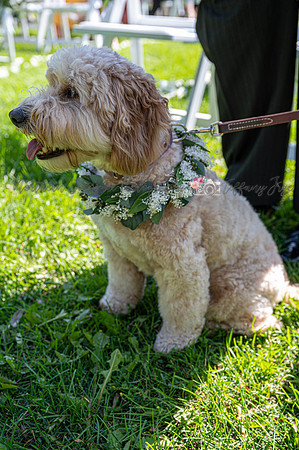 ConesWedding-210