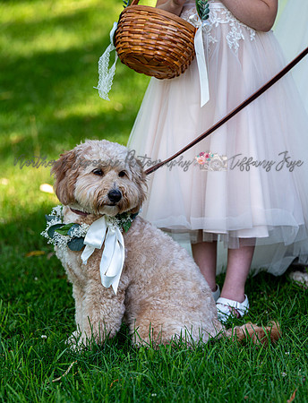 ConesWedding-336