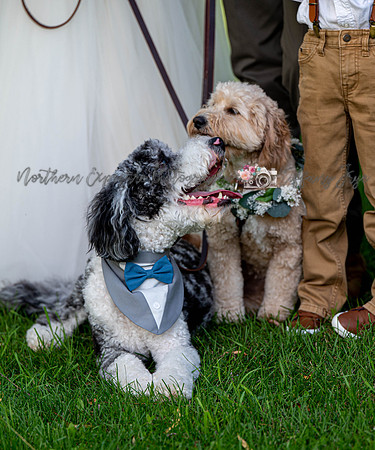ConesWedding-341